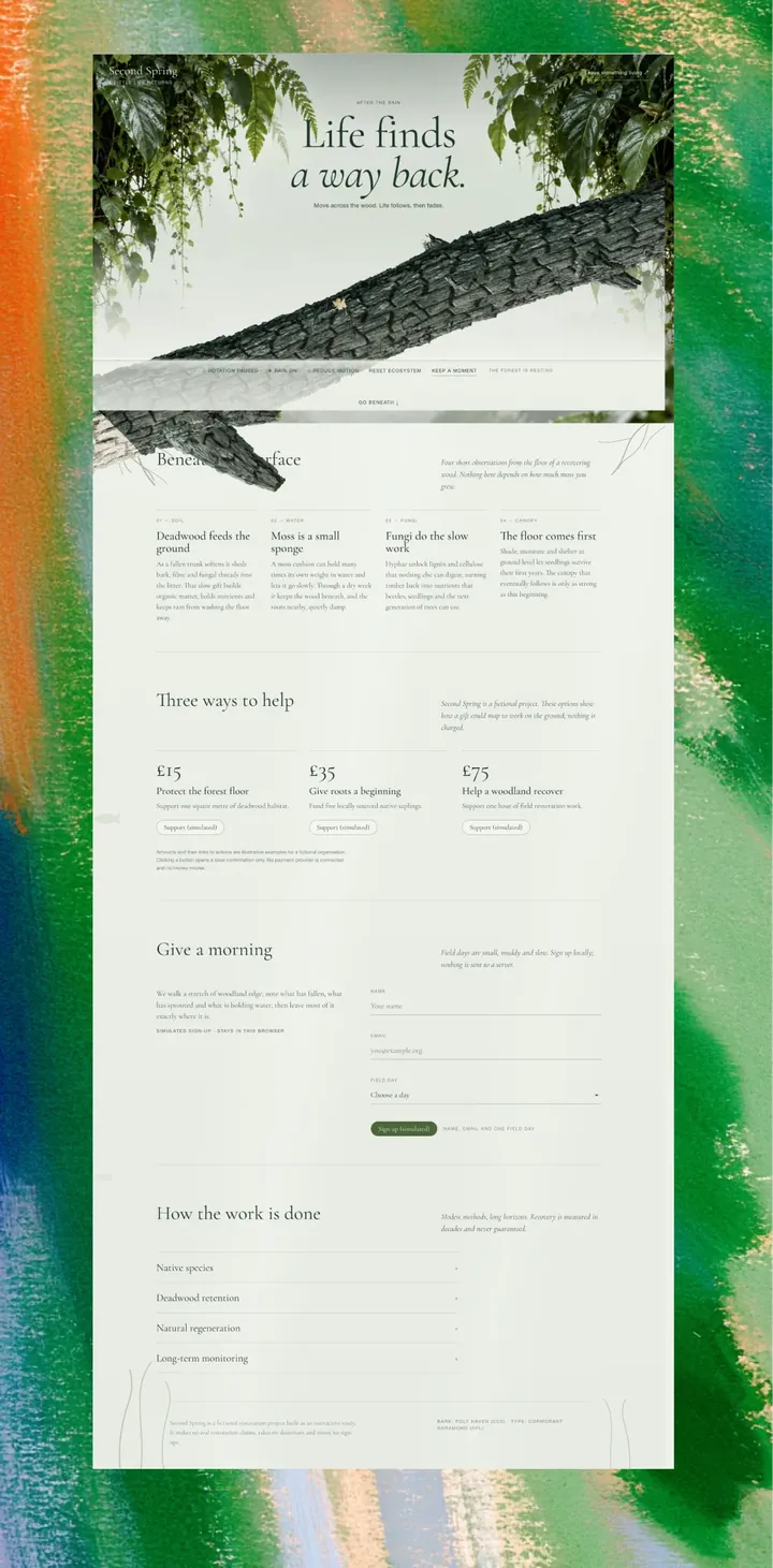 Websites 3