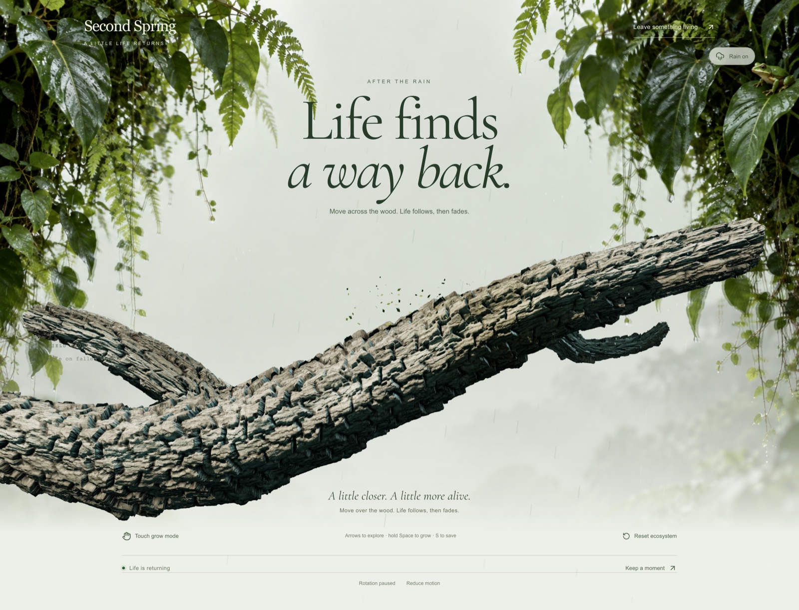 Second Spring forest restoration website introduction