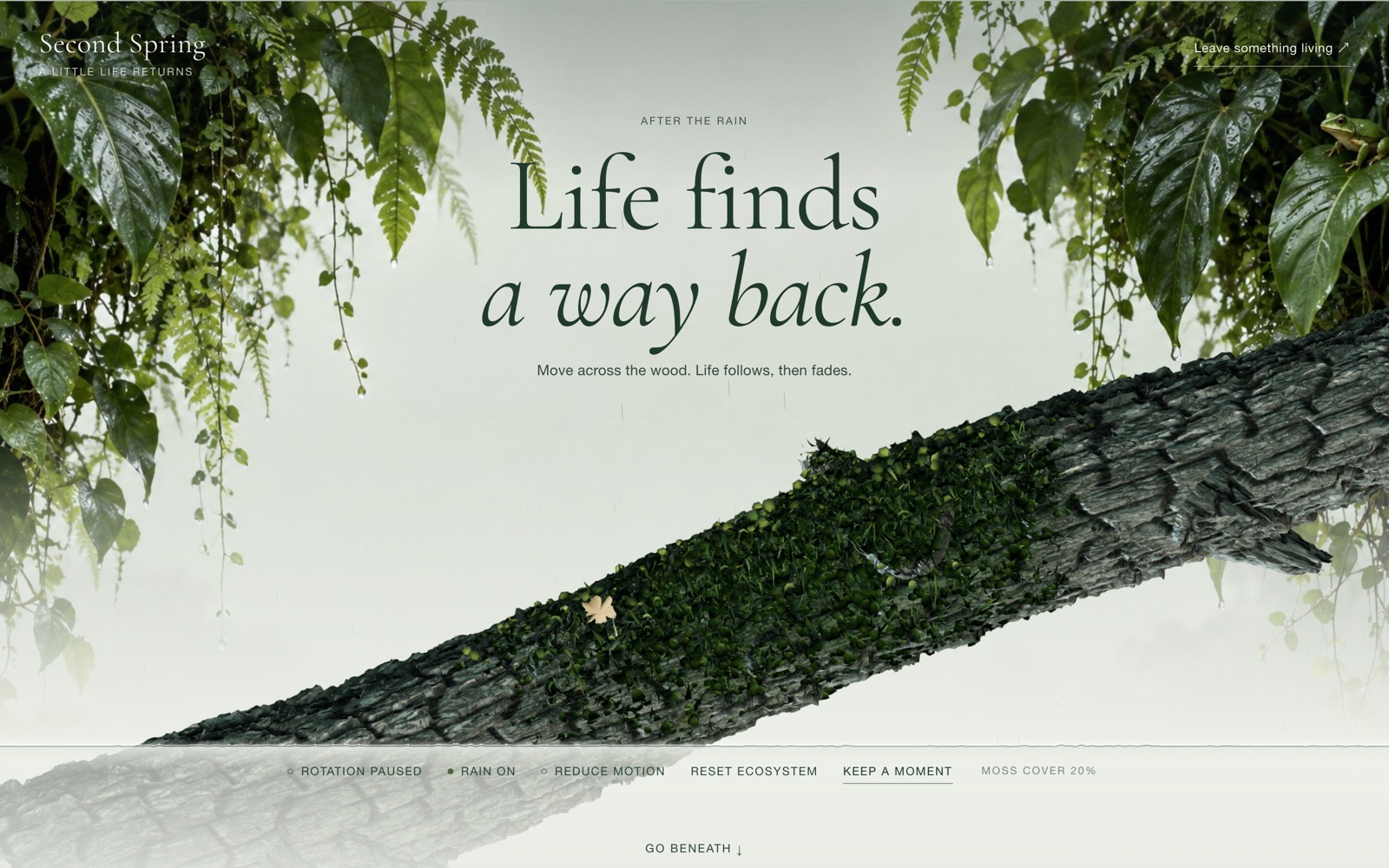 Second Spring conservation website with pointer-grown moss on a log